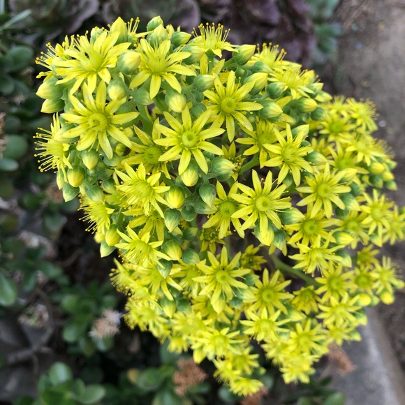 Meet your Posher, Linda - Picture 8 of 8